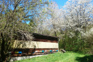 Bienenhaus am Waldrand (Foto: Lukas Wack)