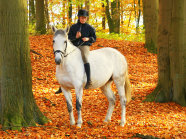 Reiten im Wald