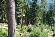 Oranger Seilkran bei der Arbeit im Bergwald