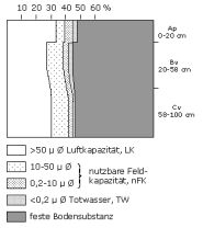 Bodenphysikalische Kennwerte: Profil 39