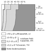 Bodenphysikalische Kennwerte: Profil 13