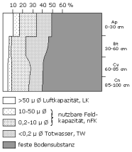 Bodenphysikalische Kennwerte: Profil 2