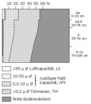 Bodenphysikalische Kennwerte: Profil 12