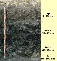 Profil 35, Ottenhofen, Lkr. Neustadt Aisch - Bad Windsheim