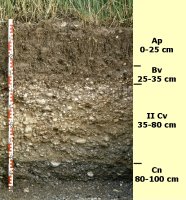 Profil 24, Germaringen, Lkr. Ostallgäu