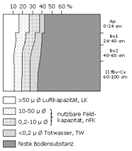 Bodenphysikalische Kennwerte: Profil 40