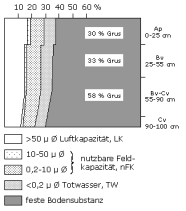 Bodenphysikalische Kennwerte: Profil 16