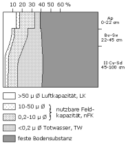 Bodenphysikalische Kennwerte: Profil 10