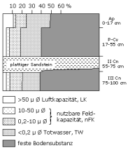 Bodenphysikalische Kennwerte: Profil 6