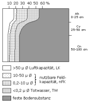 Bodenphysikalische Kennwerte: Profil 23