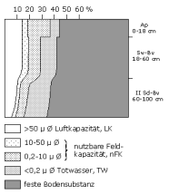 Bodenphysikalische Kennwerte: Profil 33
