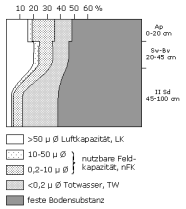 Bodenphysikalische Kennwerte: Profil 29