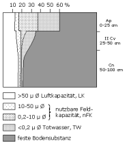 Bodenphysikalische Kennwerte: Profil 20