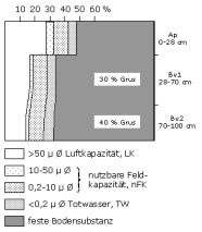 Bodenphysikalische Kennwerte: Profil 31