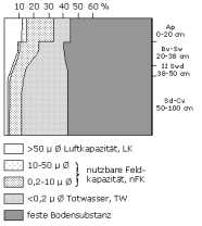 Bodenphysikalische Kennwerte: Profil 5