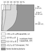 Bodenphysikalische Kennwerte: Profil 11