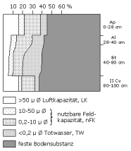 Bodenphysikalische Kennwerte: Profil 34