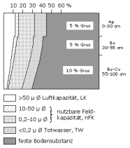 Bodenphysikalische Kennwerte: Profil 17