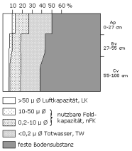 Bodenphysikalische Kennwerte: Profil 9