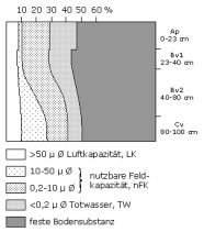 Bodenphysikalische Kennwerte: Profil 36