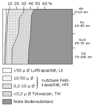 Bodenphysikalische Kennwerte: Profil 4