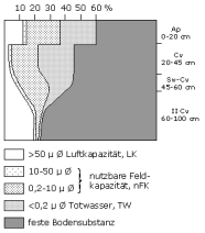 Bodenphysikalische Kennwerte: Profil 22