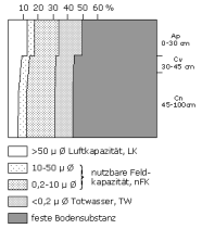 Bodenphysikalische Kennwerte: Profil 3
