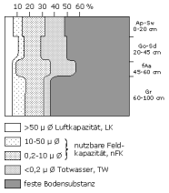 Bodenphysikalische Kennwerte: Profil 43