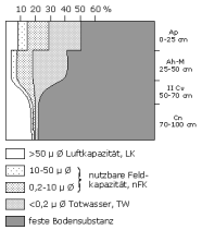 Bodenphysikalische Kennwerte: Profil 21