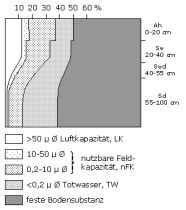 Bodenphysikalische Kennwerte: Profil 38