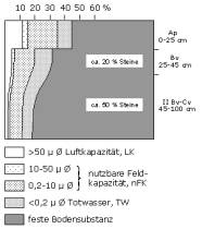 Bodenphysikalische Kennwerte: Profil 19