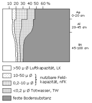 Bodenphysikalische Kennwerte: Profil 26