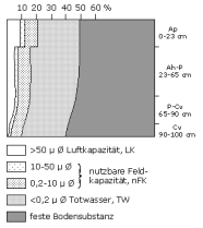 Bodenphysikalische Kennwerte: Profil 35