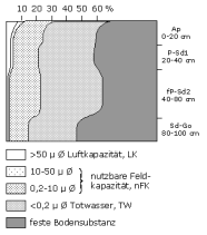 Bodenphysikalische Kennwerte: Profil 46
