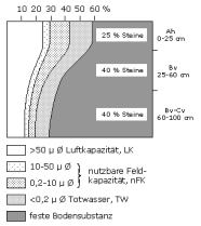Bodenphysikalische Kennwerte: Profil 48