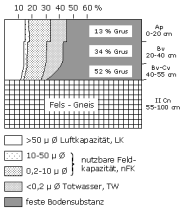 Bodenphysikalische Kennwerte: Profil 18