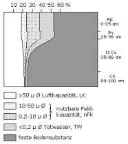 Bodenphysikalische Kennwerte: Profil 24