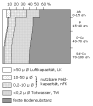 Bodenphysikalische Kennwerte: Profil 42