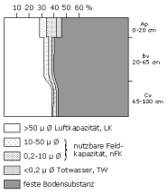 Bodenphysikalische Kennwerte: Profil 32