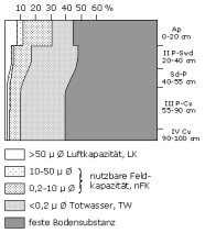 Bodenphysikalische Kennwerte: Profil 8