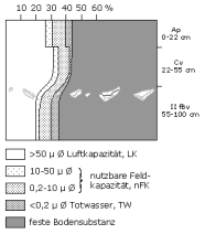 Bodenphysikalische Kennwerte: Profil 30