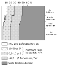 Bodenphysikalische Kennwerte: Profil 37