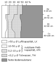 Bodenphysikalische Kennwerte: Profil 47