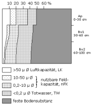 Bodenphysikalische Kennwerte: Profil 41