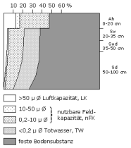 Bodenphysikalische Kennwerte: Profil 15