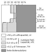 Bodenphysikalische Kennwerte: Profil 44