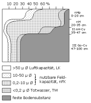 Bodenphysikalische Kennwerte: Profil 49