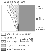 Bodenphysikalische Kennwerte: Profil 45