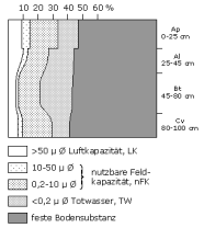 Bodenphysikalische Kennwerte: Profil 1