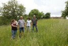 Familie Sonner auf der Reimerwiese